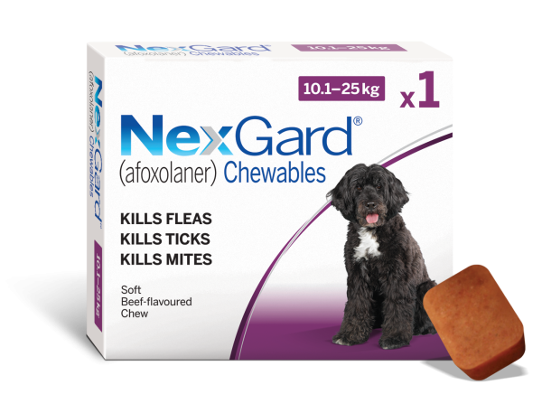 Nexgard for Medium Dogs  Pack 10-25kg SINGLE 