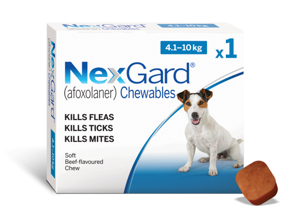 Nexgard for Small Dogs 4-10kg SINGLE