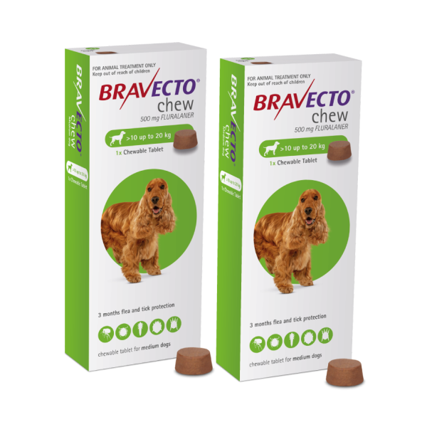 Bravecto 500mg Chewable Tablet for Medium Dogs  10-20kg  | DOUBLE PACK BUNDLE