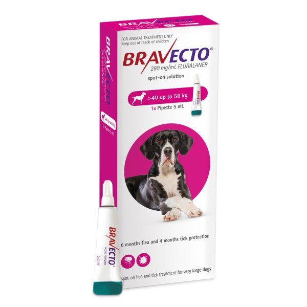 Bravecto  SPOT ON  solution for very large  dogs (40-56kg) Pink 
