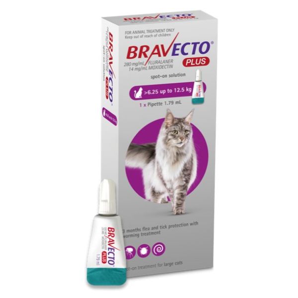  Bravecto PLUS Flea,Tick & Worm Spot-On for Cats Large (6.25-12.5kg)