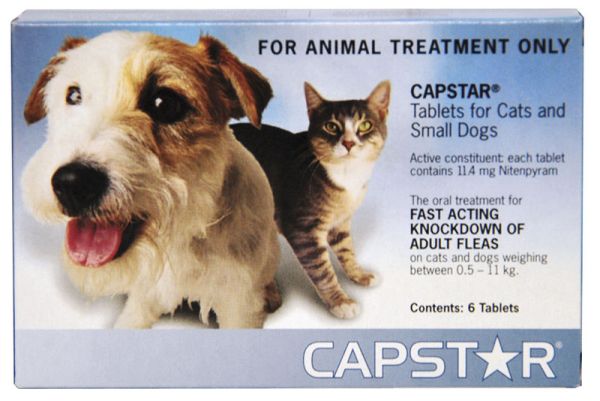Capstar cat/small dog Pack of 6 x 11.4mg tablets
