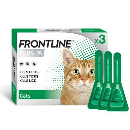 Frontline Plus for Cats - 3 pack