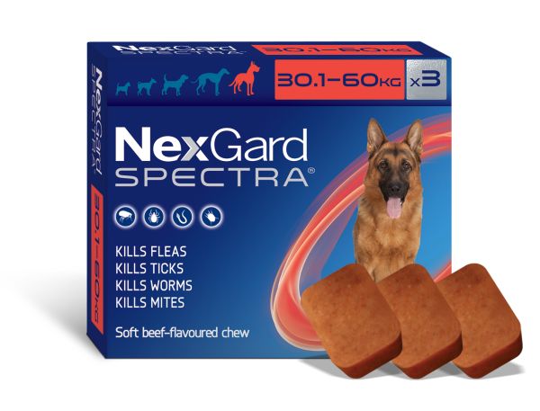 Nexgard Spectra  X-Large dog >30kg 3 pack