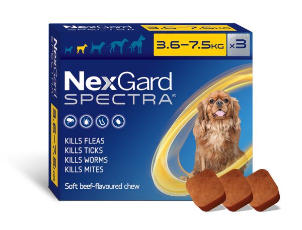 Nexgard Spectra small dog 3.6-7.5kg 3 pack