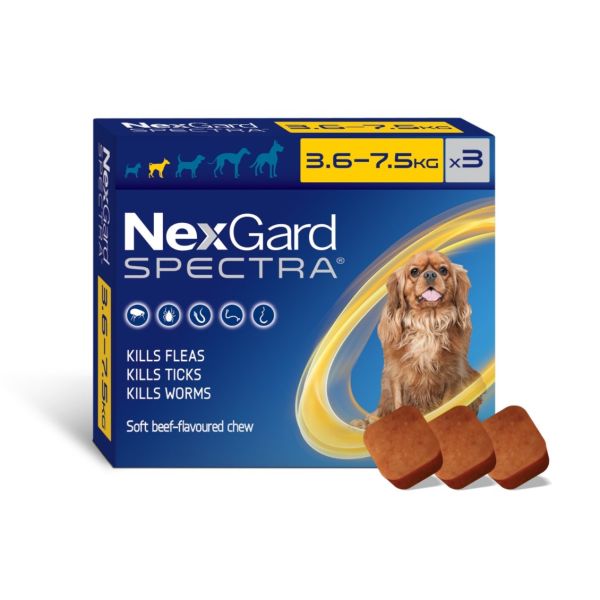 Nexgard Spectra small dog 3.6-7.5kg 3 pack PLUS FREE SINGLE