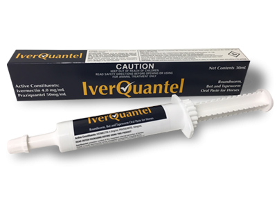 IverQuantel Paste 30g Single (contains ivermectin and praziquantel)